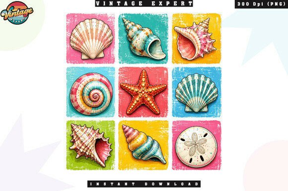 Colorful Beach Coastal Seashell PNG: A Practical Asset for Summer Designs