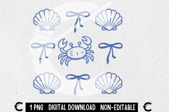 Coquette Coastal Shell Summer Vibes