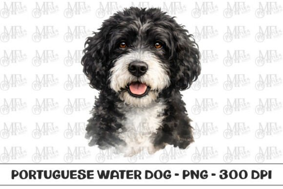 Portuguese Water Dog Watercolor PNG